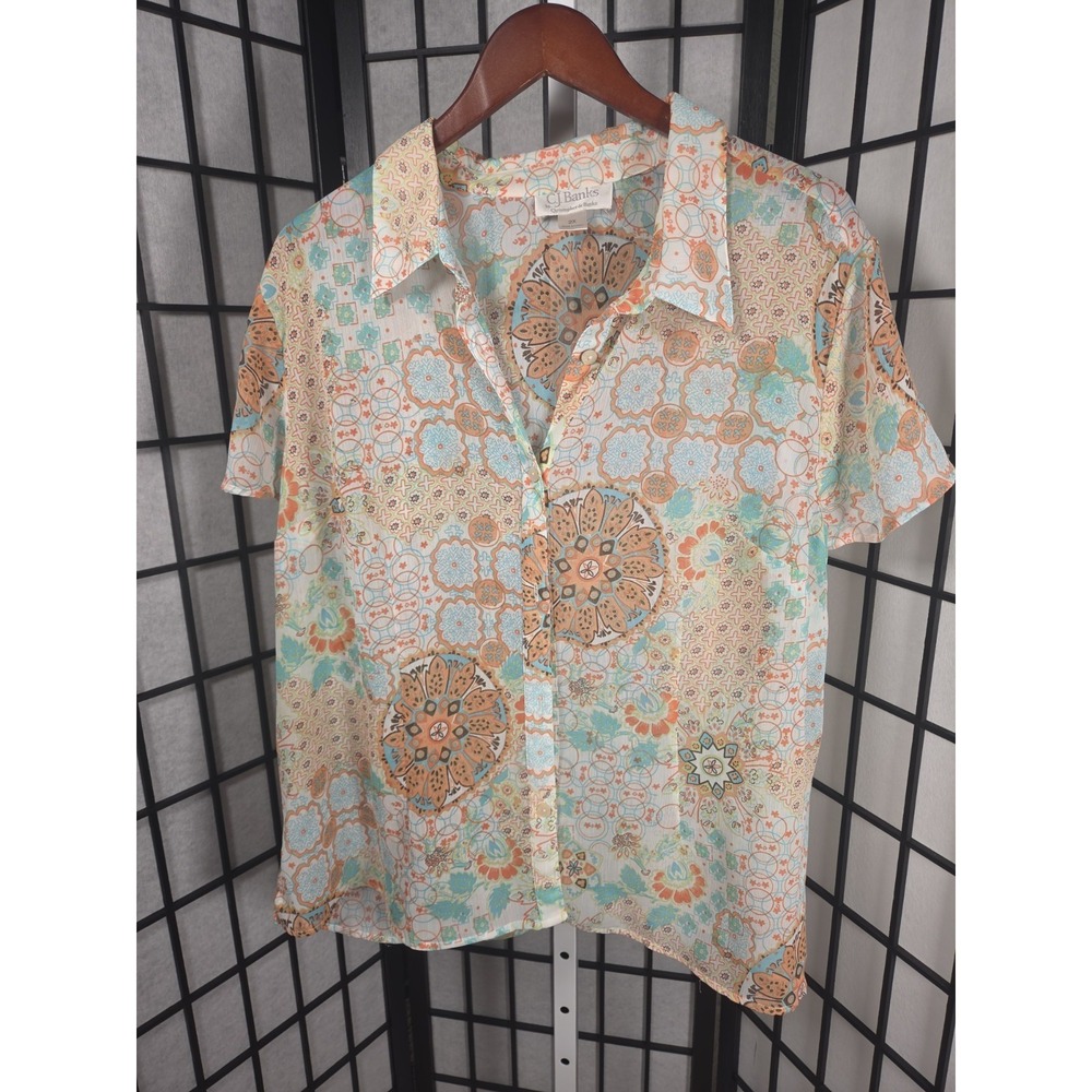 Vtg Y2K Top Sheer Floral Art Button Down Sz 2x Flowy CJ Banks